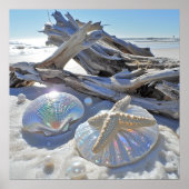 Poster Coquillages Iridescente Starfish Sable blanc (Devant)