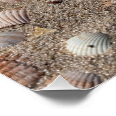 Poster Coquillages marins sur la plage (Coin)