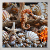 Poster Coquillages Poisson-étoiles Perles Sable d'Orange (Devant)