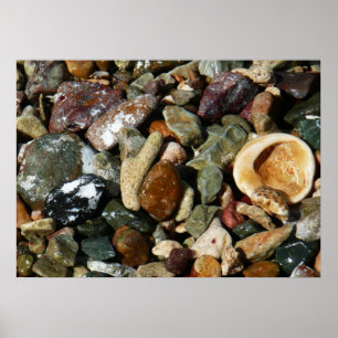 Poster Coquillages, rochers et corail Photographie de la