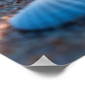 Poster Coquillages sur le sable avec des vagues d'océan s (Coin)