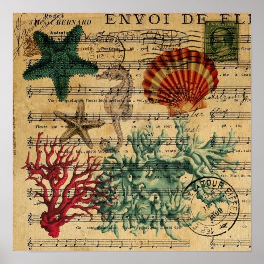 Poster coquillages tropicaux côtiers (Devant)