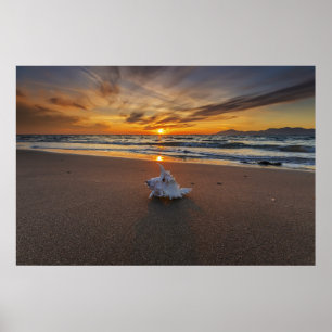 Poster Coquille À La Plage Au Coucher Du Soleil   Île de 
