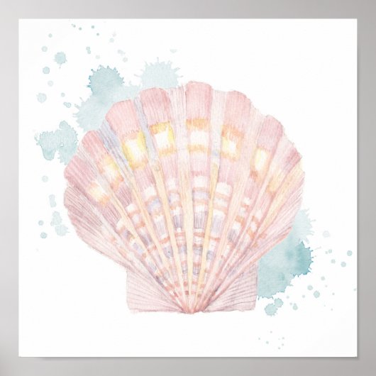 Poster Coquille côtière du Salento (Devant)