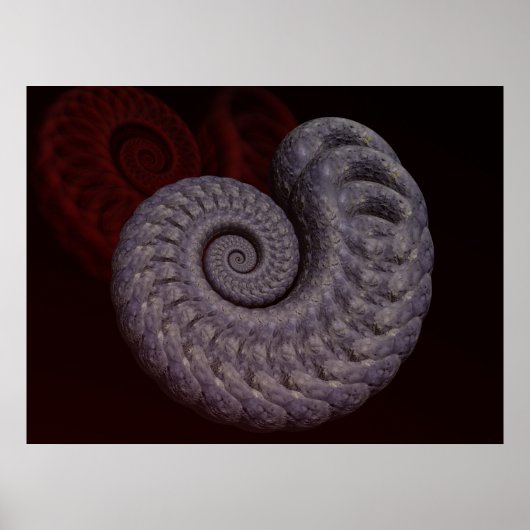 Poster Coquille d'ammonite (Devant)