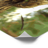 Poster Coquille de Canada. C'était pressé. (Coin)