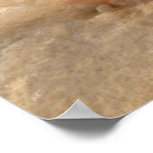 Poster Coquille De Conche Dans Le Sable Sur La Plage Trop (Coin)