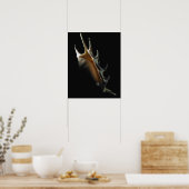 Poster Coquille de cône (Cuisine)