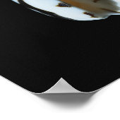 Poster Coquille de cône 2 (Coin)