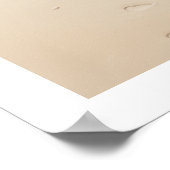 Poster Coquille de conque au bord de la plage (Coin)