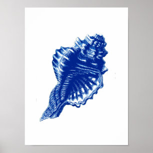 Poster Coquille de conque, bleu d'Indigo et blanc