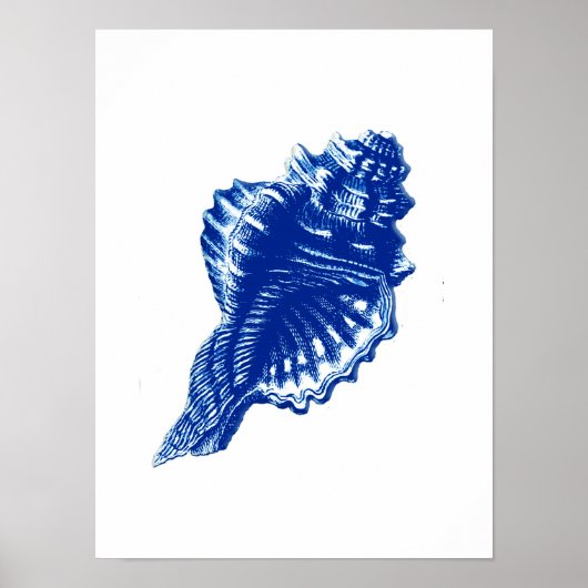 Poster Coquille de conque, bleu d'Indigo et blanc (Devant)