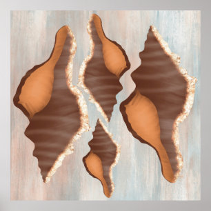 Poster Coquille de conque d'aquarelle