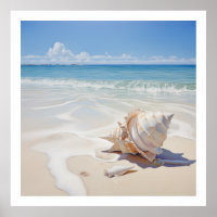 Coquille de conque vibrante au bord de la plage