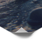 Poster Coquille de la mer du Nord (Coin)