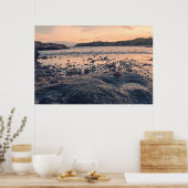 Poster Coquille de la mer du Nord (Cuisine)