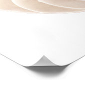 Poster Coquille de Nautilus, gros plan (Coin)