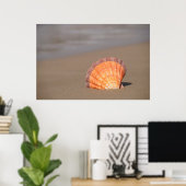 Poster Coquille de Saint-Jacques| Crète, Grèce (Bureau à domicile)