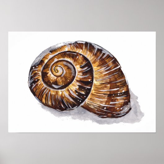 Poster Coquille d'escargot marron (Devant)