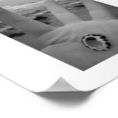 Poster Coquille en main (Coin)