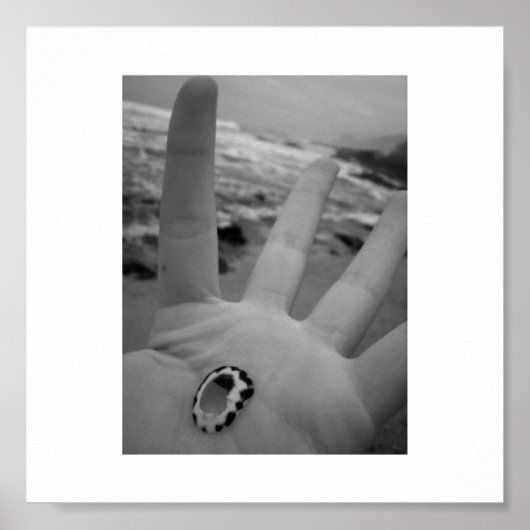 Poster Coquille en main (Devant)