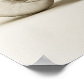 Poster Coquille marine de nausolée perlée (Coin)