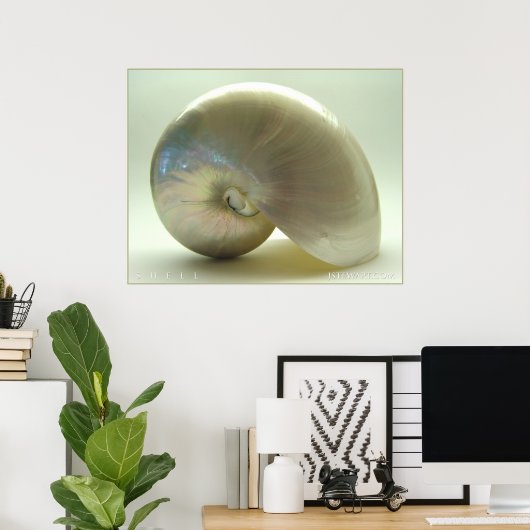 Poster Coquille n° 1 (Bureau à domicile)