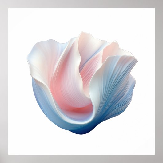 Poster Coquille rose, bleue et blanche Abstraite (Devant)
