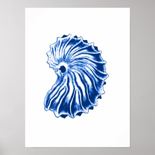 Poster Coquille spirale, bleu indigo et blanc (Devant)