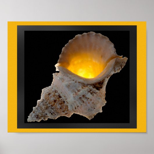 Poster Coquille tropicale noire et or Art imprimable (Devant)