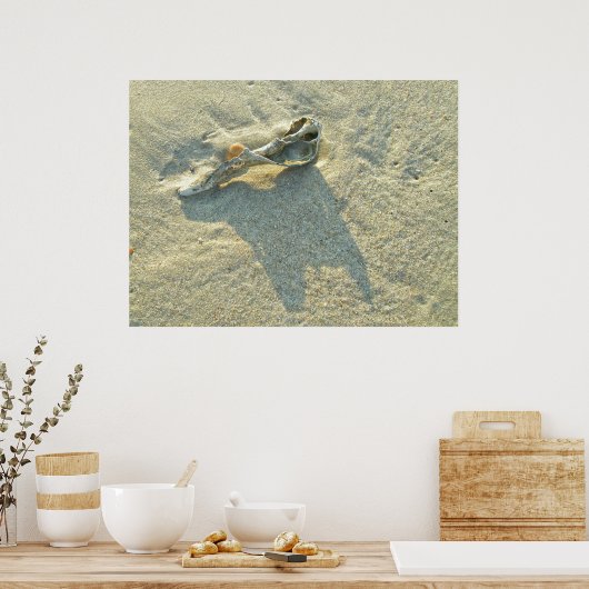 Poster Coquille Wave Washed (Cuisine)