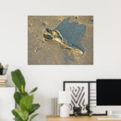 Poster Coquille Wave Washed (Bureau à domicile)