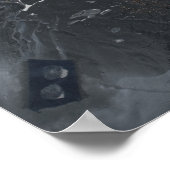 Poster "Coquilles" (Coin)