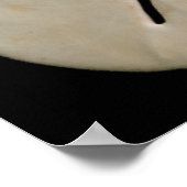 Poster Coquilles blanches et dollar de sable (Coin)