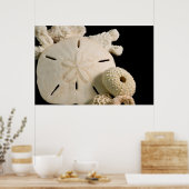 Poster Coquilles blanches et dollar de sable (Cuisine)