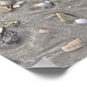 Poster Coquilles brisées sur Cape San Blas, Floride (Coin)