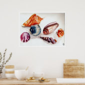 Poster Coquilles d'été (Cuisine)
