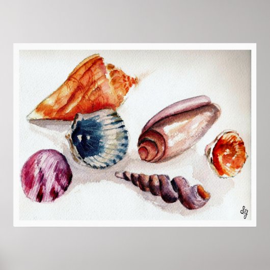 Poster Coquilles d'été (Devant)