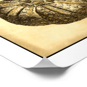 Poster Coquilles neutres et collection de corail (Coin)