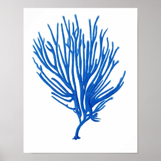 Poster Corail bleu de mer Imprimer #12 Mur côtier Imprime (Devant)