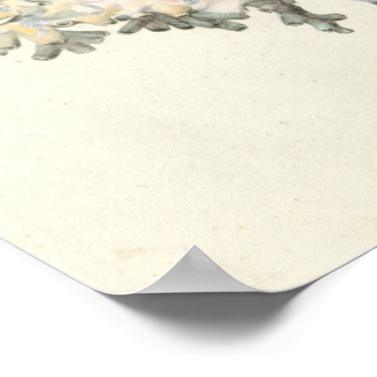 Poster Corail d'aquarelle antique (Coin)