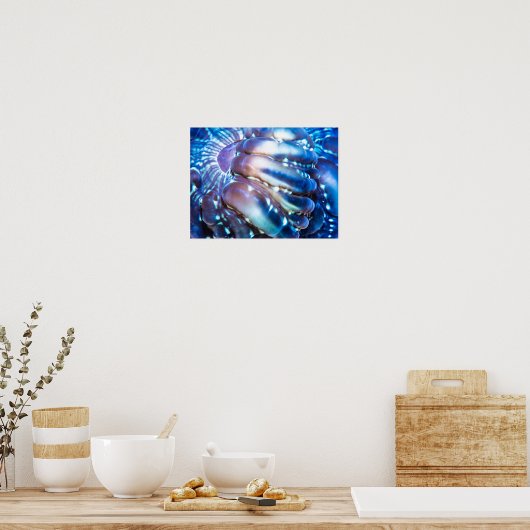 Poster Corail de couleur méterlic (Cuisine)