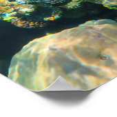 Poster Corail de la Grande Barrière de Corail - #2 (Coin)