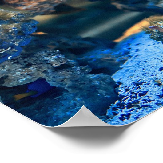 Poster Corail de poisson tropical sous-marin (Coin)