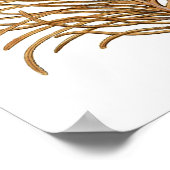 Poster Corail marin n° 8 Antique Histoire naturelle Impri (Coin)