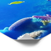 Poster Corail Reef - Toile Art Imprimer (Coin)