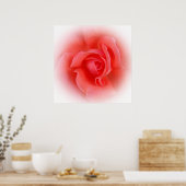 Poster corail rose rose (Cuisine)