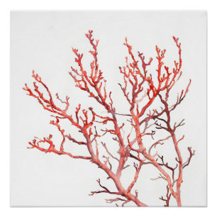 Poster Corail Rouge Minimaliste