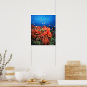 Poster Coral and fish (Cuisine)
