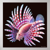 Poster Coral Reef Lionfish (Devant)